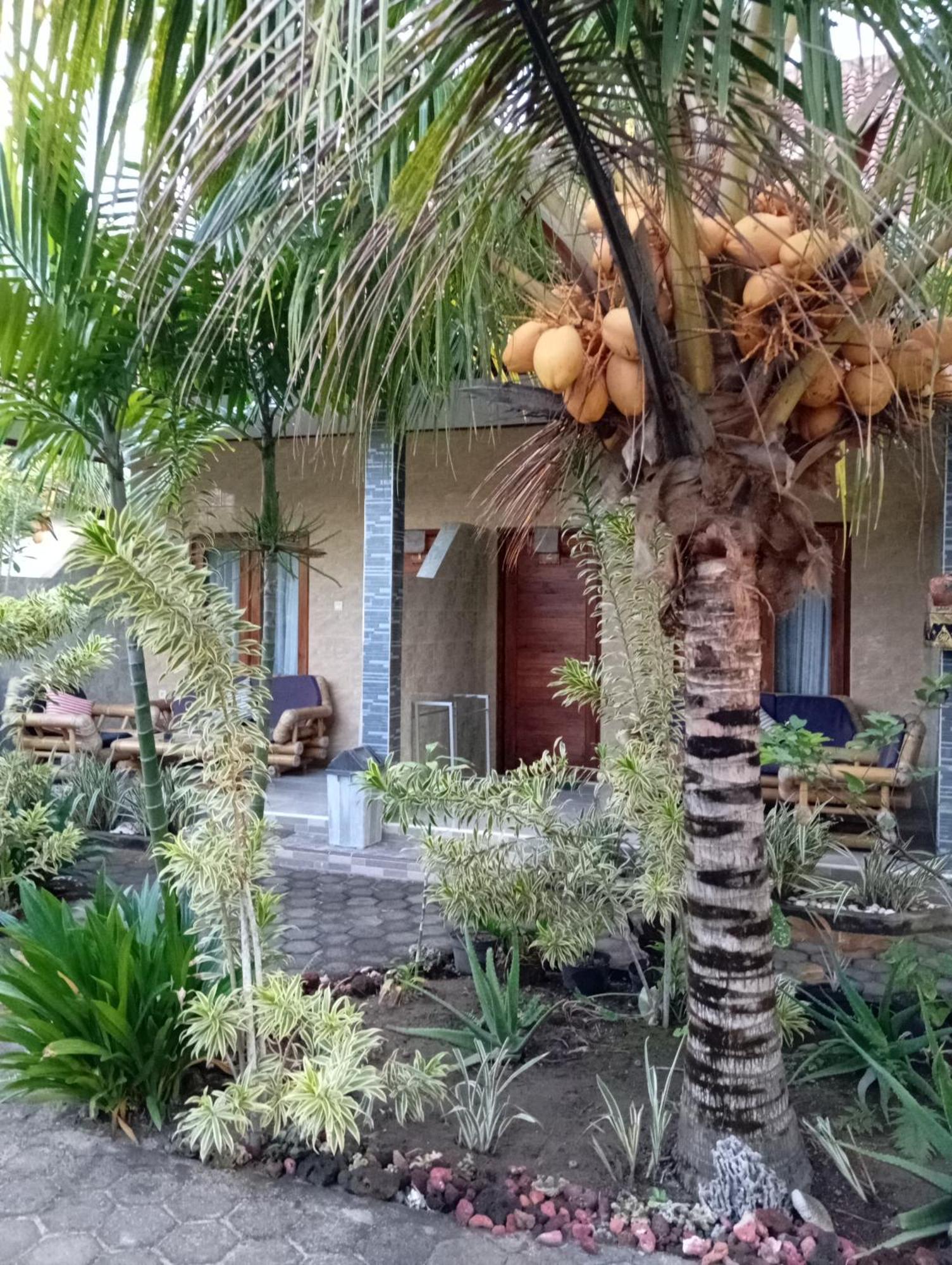 Belong Home Stay Lembongan ห้อง รูปภาพ